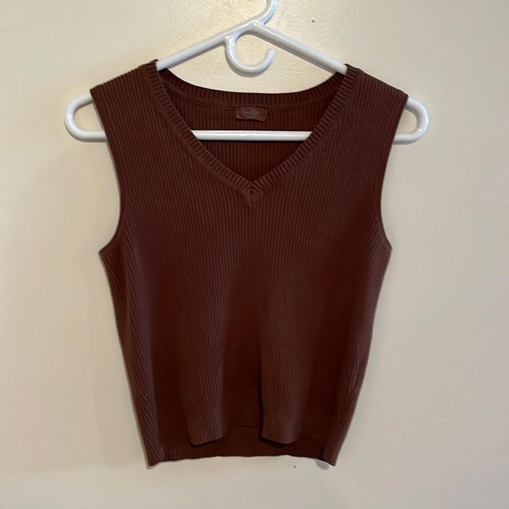 Brown John Galt/Brandy melville sweater vest